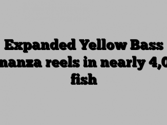 Expanded Yellow Bass Bonanza reels in nearly 4,000 fish