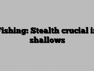 Fishing: Stealth crucial in shallows