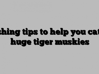 Fishing tips to help you catch huge tiger muskies