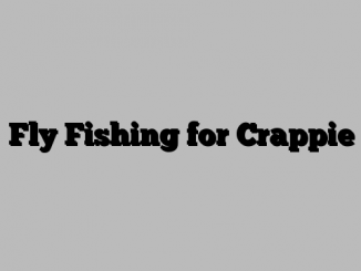 Fly Fishing for Crappie