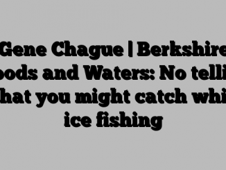 Gene Chague | Berkshire Woods and Waters: No telling what you might catch while ice fishing