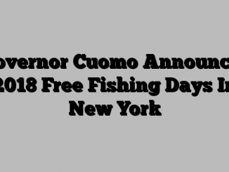 Governor Cuomo Announces 2018 Free Fishing Days In New York