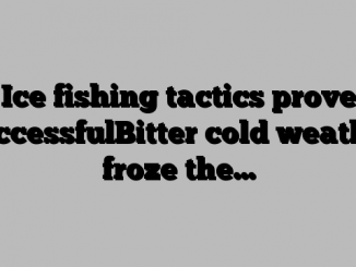 Ice fishing tactics prove successfulBitter cold weather froze the…