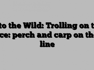 Into the Wild: Trolling on the Ice: perch and carp on the line