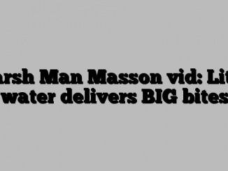 Marsh Man Masson vid: Little water delivers BIG bites