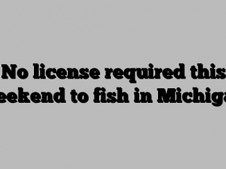 No license required this weekend to fish in Michigan