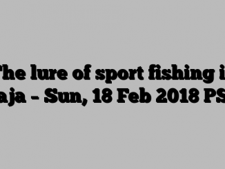 The lure of sport fishing in Baja – Sun, 18 Feb 2018 PST