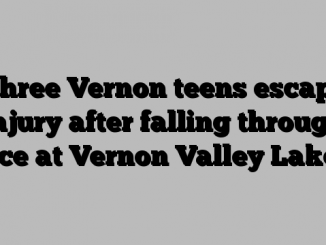 Three Vernon teens escape injury after falling through ice at Vernon Valley Lake