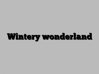 Wintery wonderland