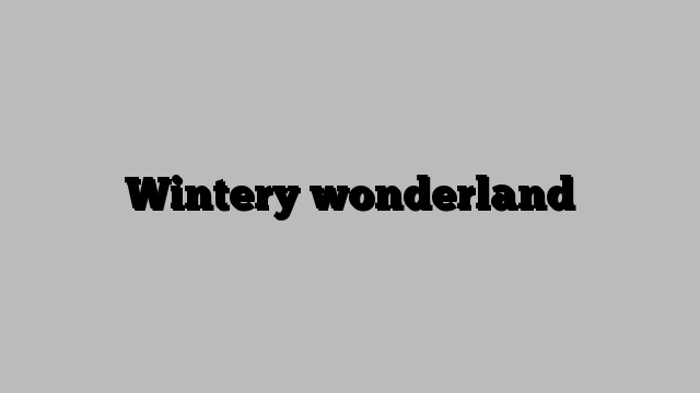 Wintery wonderland