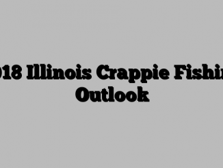 2018 Illinois Crappie Fishing Outlook