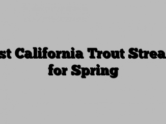 Best California Trout Streams for Spring