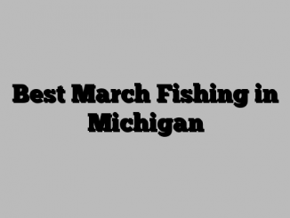 Best March Fishing in Michigan