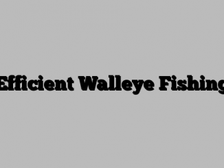 Efficient Walleye Fishing