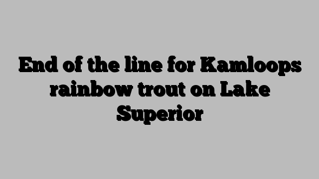 End of the line for Kamloops rainbow trout on Lake Superior