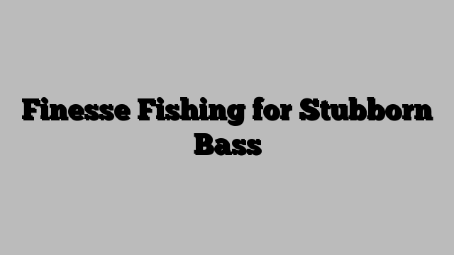 Finesse Fishing for Stubborn Bass