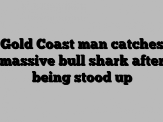 Gold Coast man catches massive bull shark after being stood up