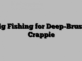 Jig Fishing for Deep-Brush Crappie