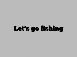 Let’s go fishing