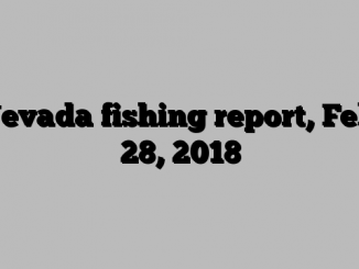 Nevada fishing report, Feb. 28, 2018