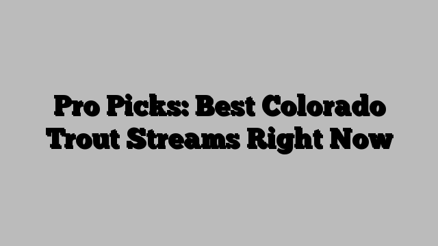 Pro Picks: Best Colorado Trout Streams Right Now