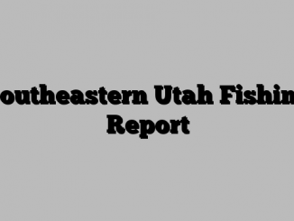 Southeastern Utah Fishing Report