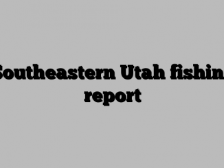 Southeastern Utah fishing report