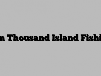 Ten Thousand Island Fishing