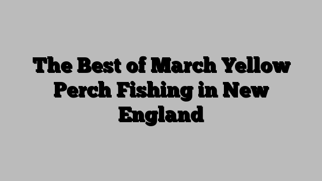 The Best of March Yellow Perch Fishing in New England