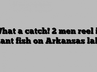 What a catch! 2 men reel in giant fish on Arkansas lake