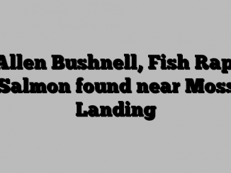 Allen Bushnell, Fish Rap: Salmon found near Moss Landing