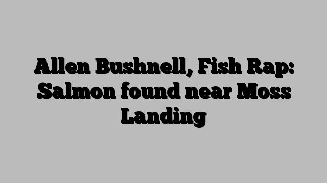 Allen Bushnell, Fish Rap: Salmon found near Moss Landing