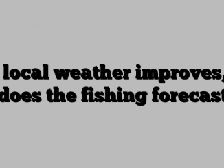 As local weather improves, so does the fishing forecast