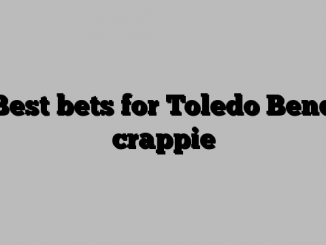 Best bets for Toledo Bend crappie