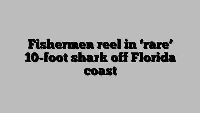 Fishermen reel in ‘rare’ 10-foot shark off Florida coast