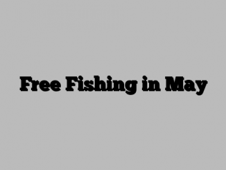 Free Fishing in May