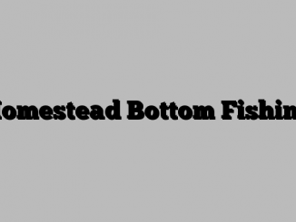 Homestead Bottom Fishing