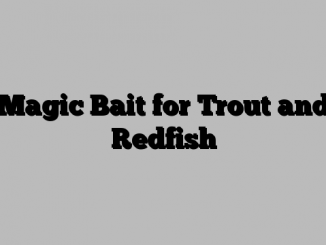 Magic Bait for Trout and Redfish