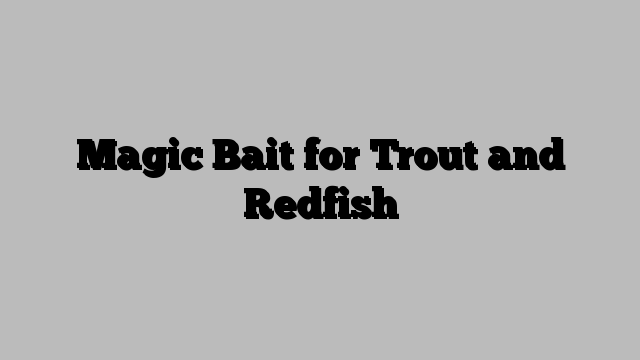 Magic Bait for Trout and Redfish