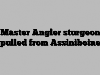 Master Angler sturgeon pulled from Assiniboine