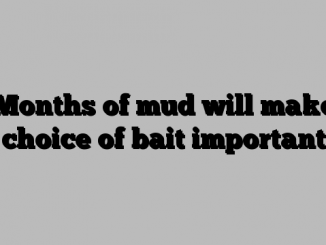 Months of mud will make choice of bait important