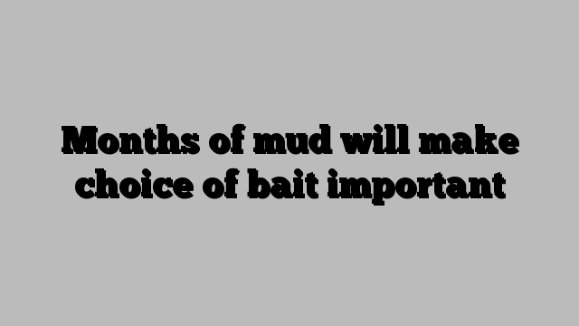 Months of mud will make choice of bait important