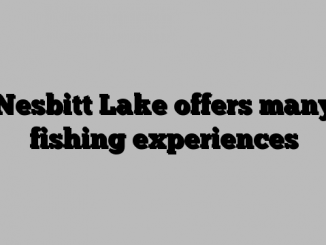 Nesbitt Lake offers many fishing experiences