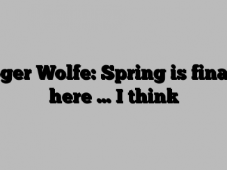 Roger Wolfe: Spring is finally here … I think