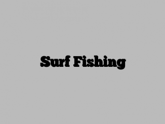 Surf Fishing