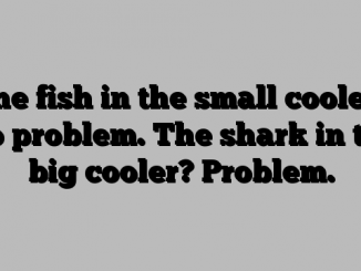 The fish in the small cooler? No problem. The shark in the big cooler? Problem.