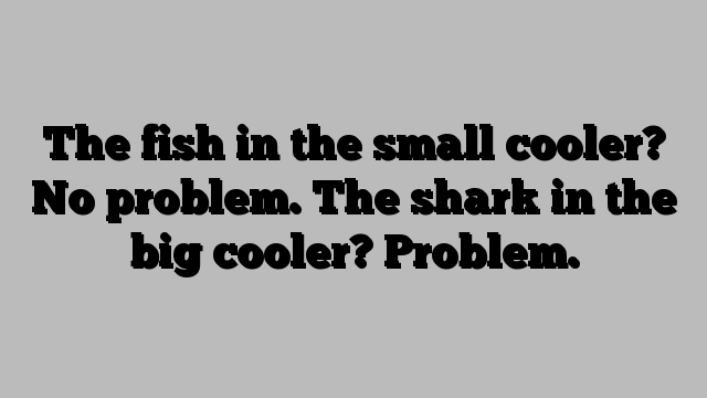 The fish in the small cooler? No problem. The shark in the big cooler? Problem.