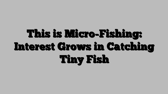 This is Micro-Fishing: Interest Grows in Catching Tiny Fish