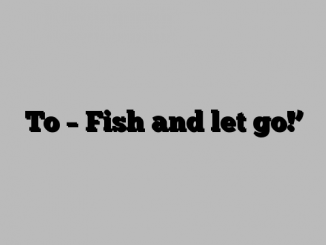 To – Fish and let go!’