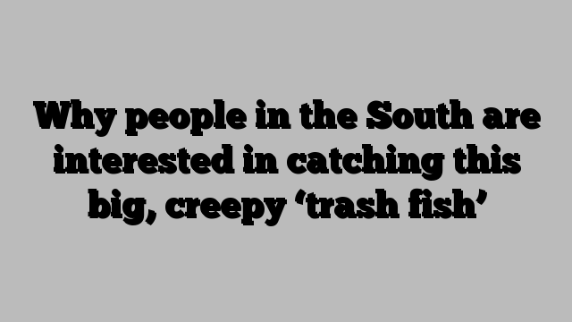 Why people in the South are interested in catching this big, creepy ‘trash fish’